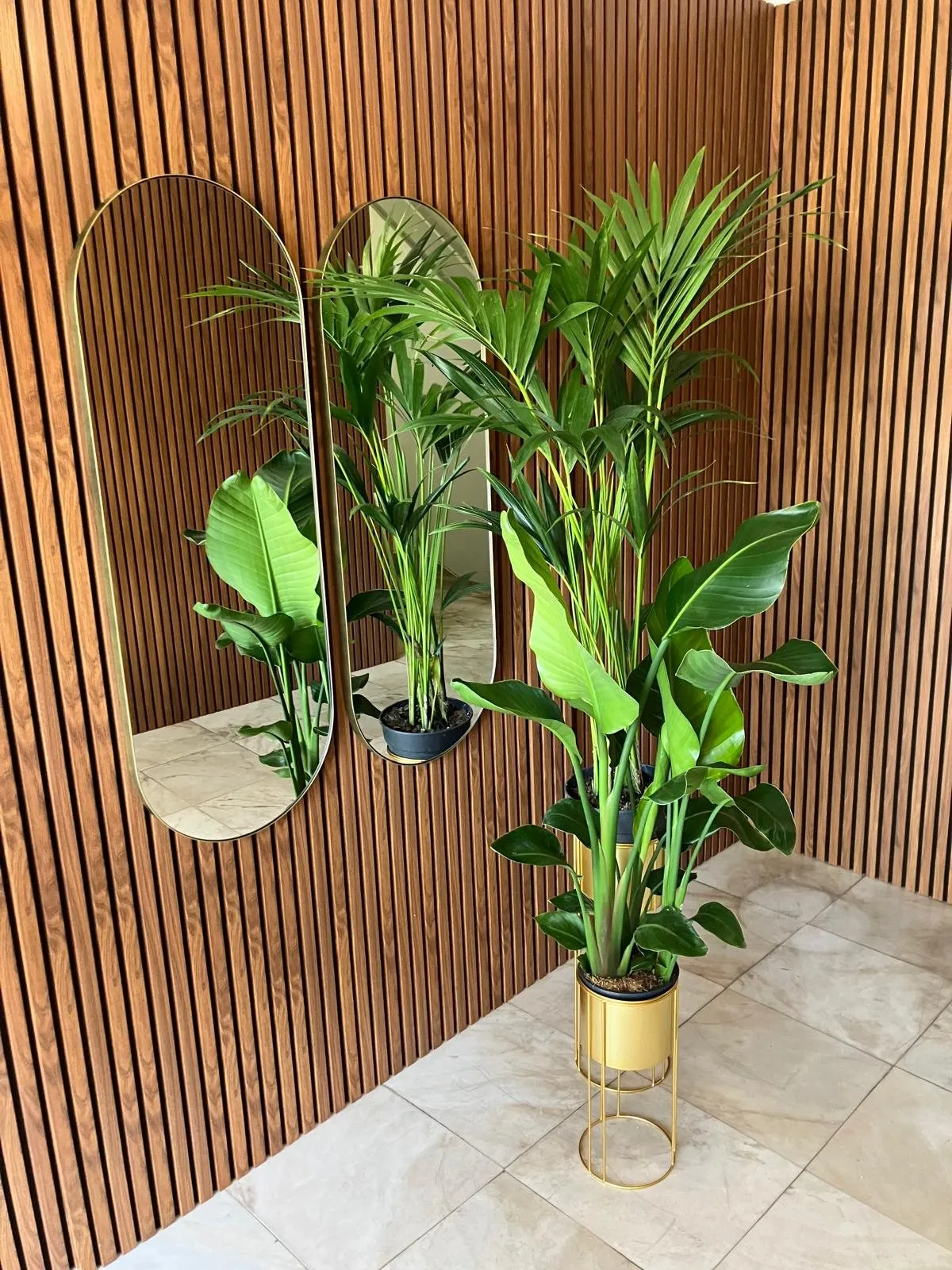 Miroir arrondi sur les tasseaux de bois, plantes vertes dans des pots dorés